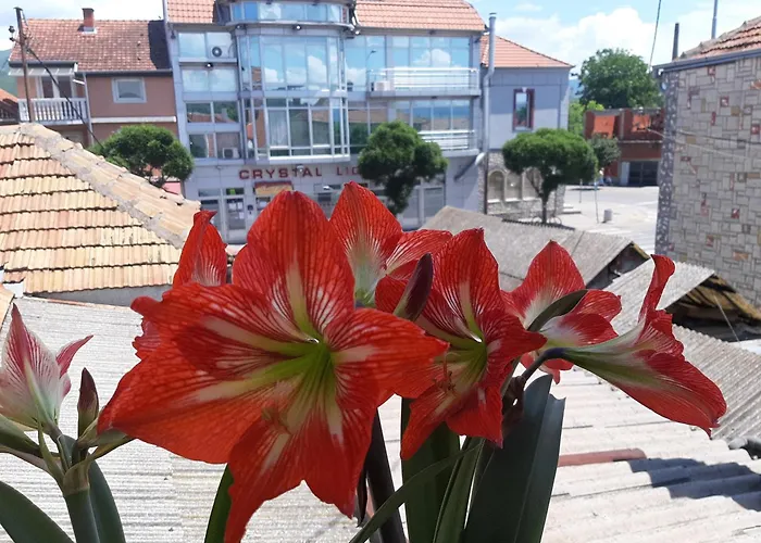 Crystal Lights Hotel 2*